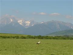 Pohad na Vysok Tatry